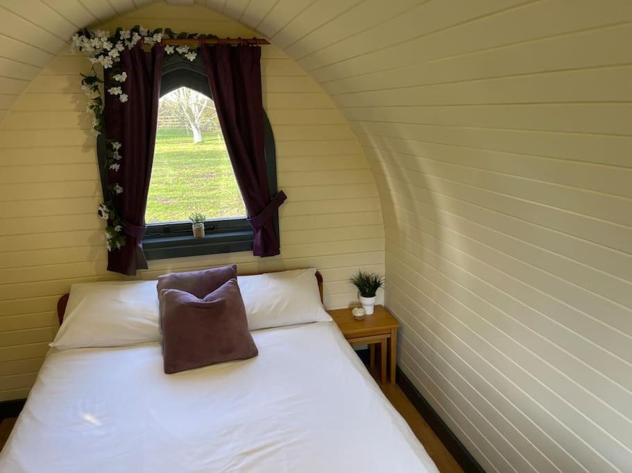 Belle Vista Glamping & Camping York Exterior photo