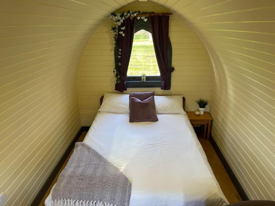 Belle Vista Glamping & Camping York Exterior photo
